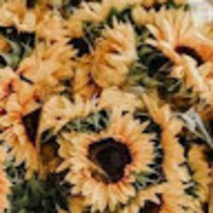 Meet your Posher, Brooks